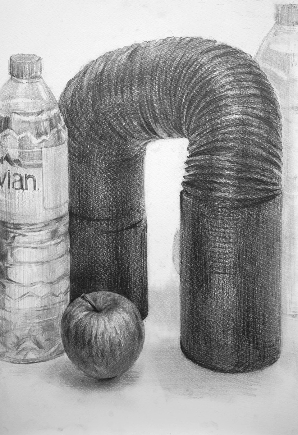 育英美术学生合格作品的静物素描学生作品 002