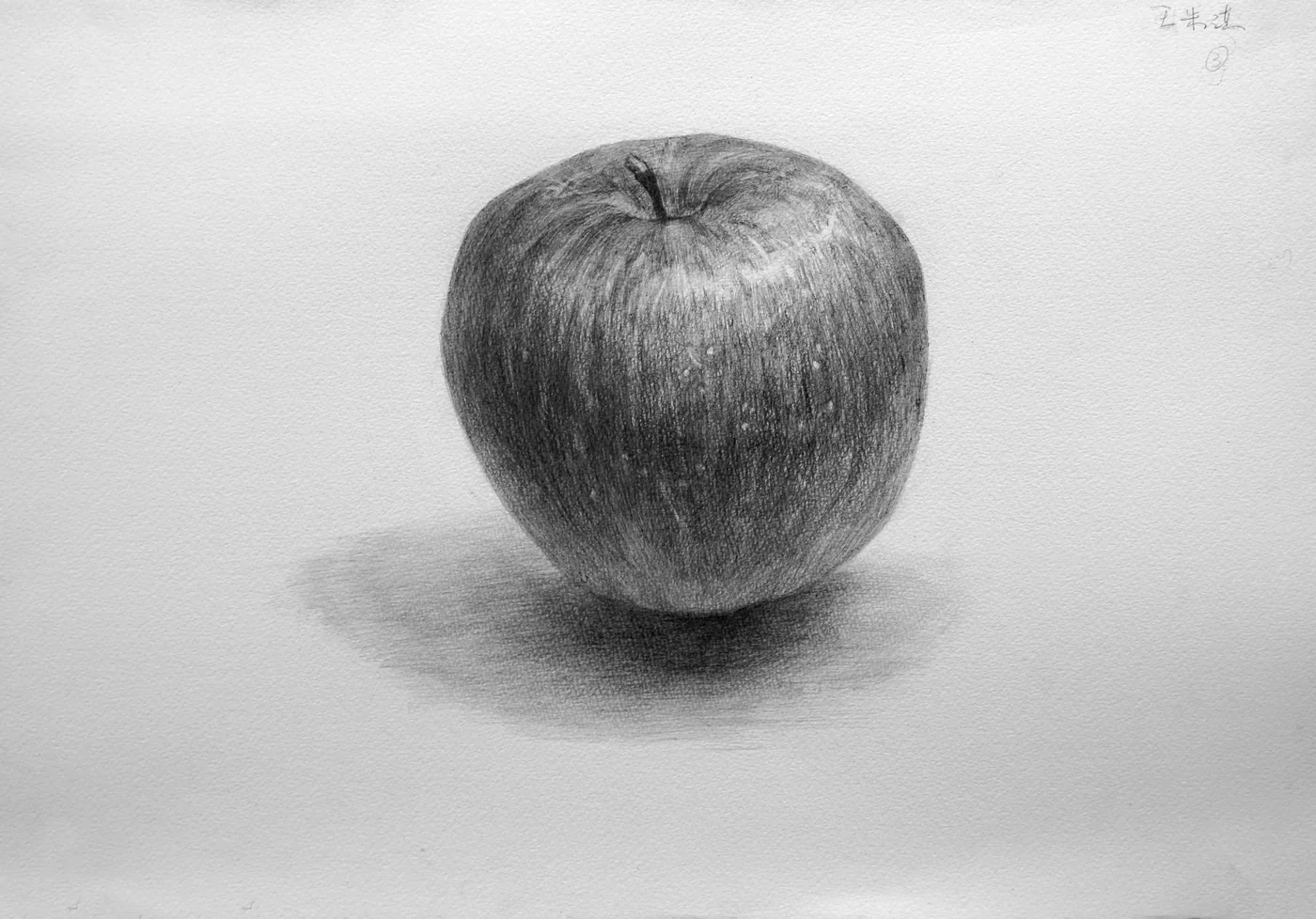 育英美术学生合格作品的桌上素描学生作品 015