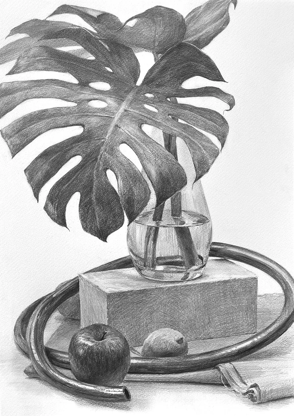 Nao Yamamoto 的静物素描范画 03