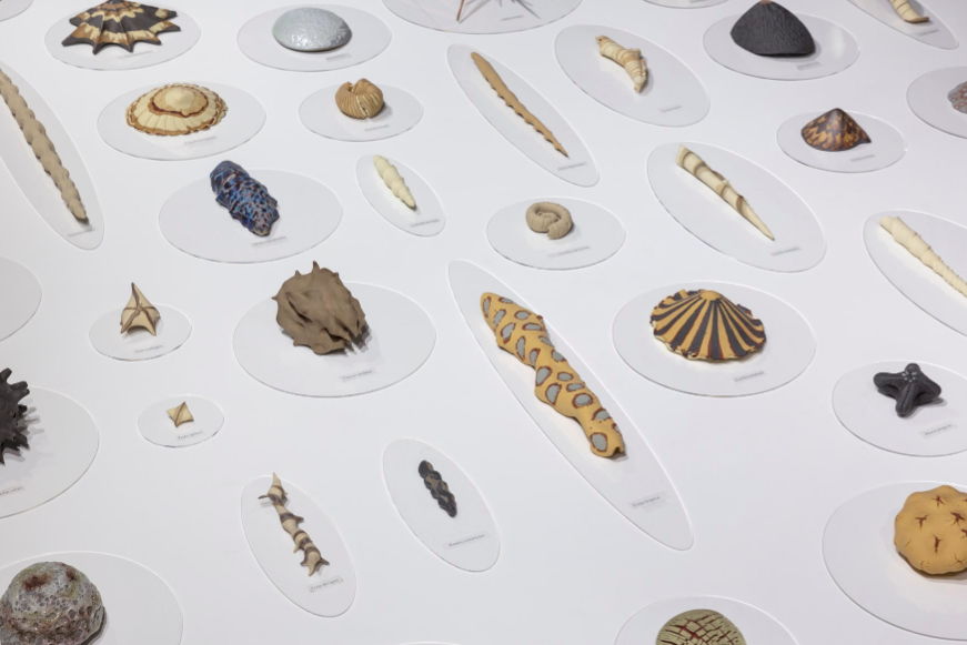 IKUEI information | 武藏野美术大学工艺工业设计学科，空间、产品、工艺都能学！