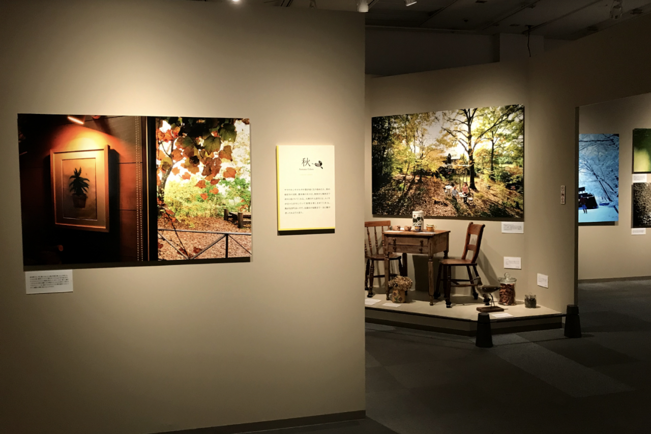 IKUEI information | 成安造形大学的写真专业