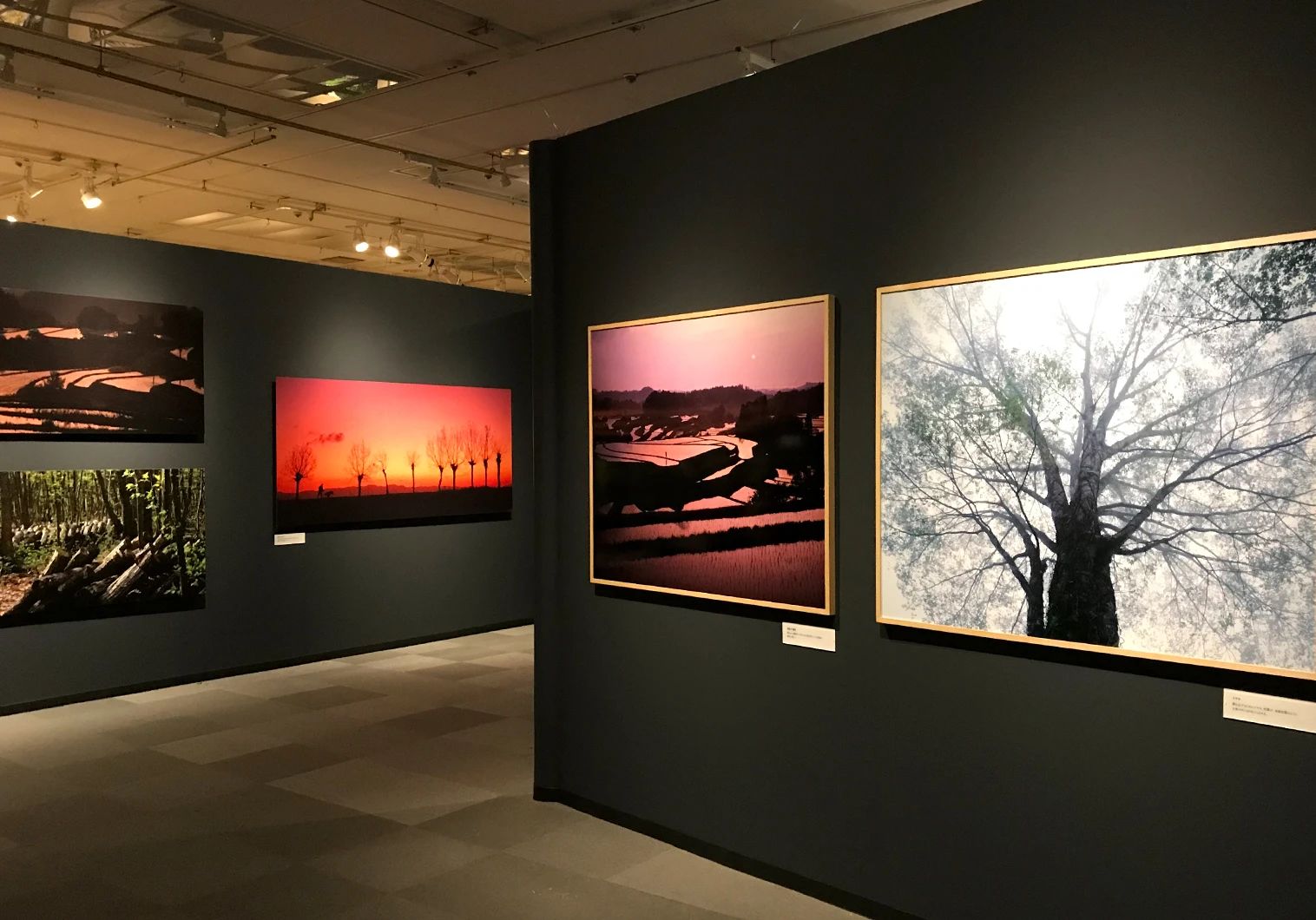 IKUEI information | 成安造形大学的写真专业