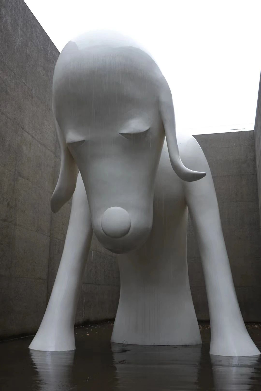 IKUEI 看展 | 去青森!时隔10年的奈良美智大展「The Beginning Place」