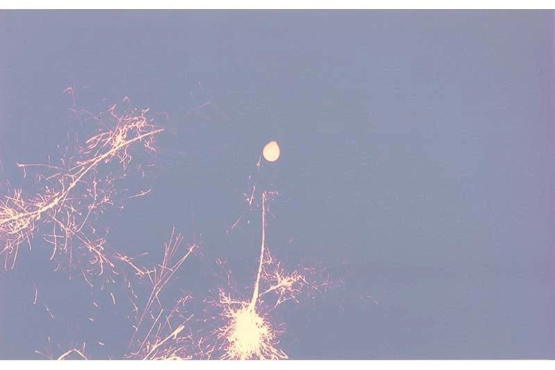 IKUEI information | 新兴的设计学科,多摩美术大学统合设计