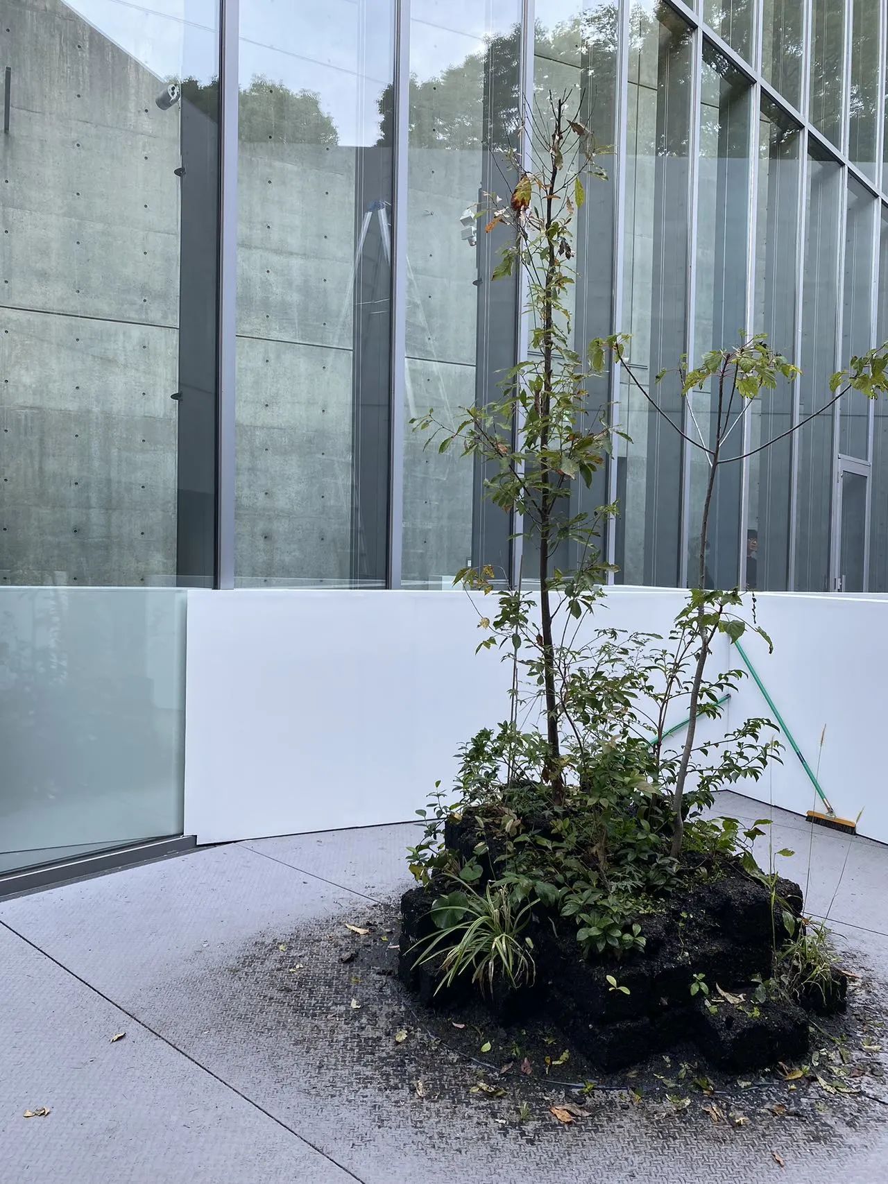 IKUEI 看展 | material,or 重新审视我们身边的材料