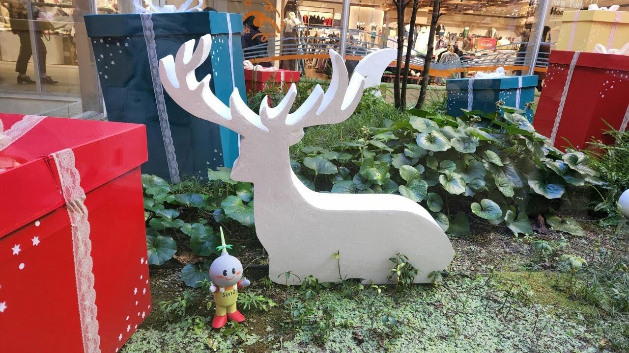 IKUEI information | 大阪艺术大学艺术科学学科