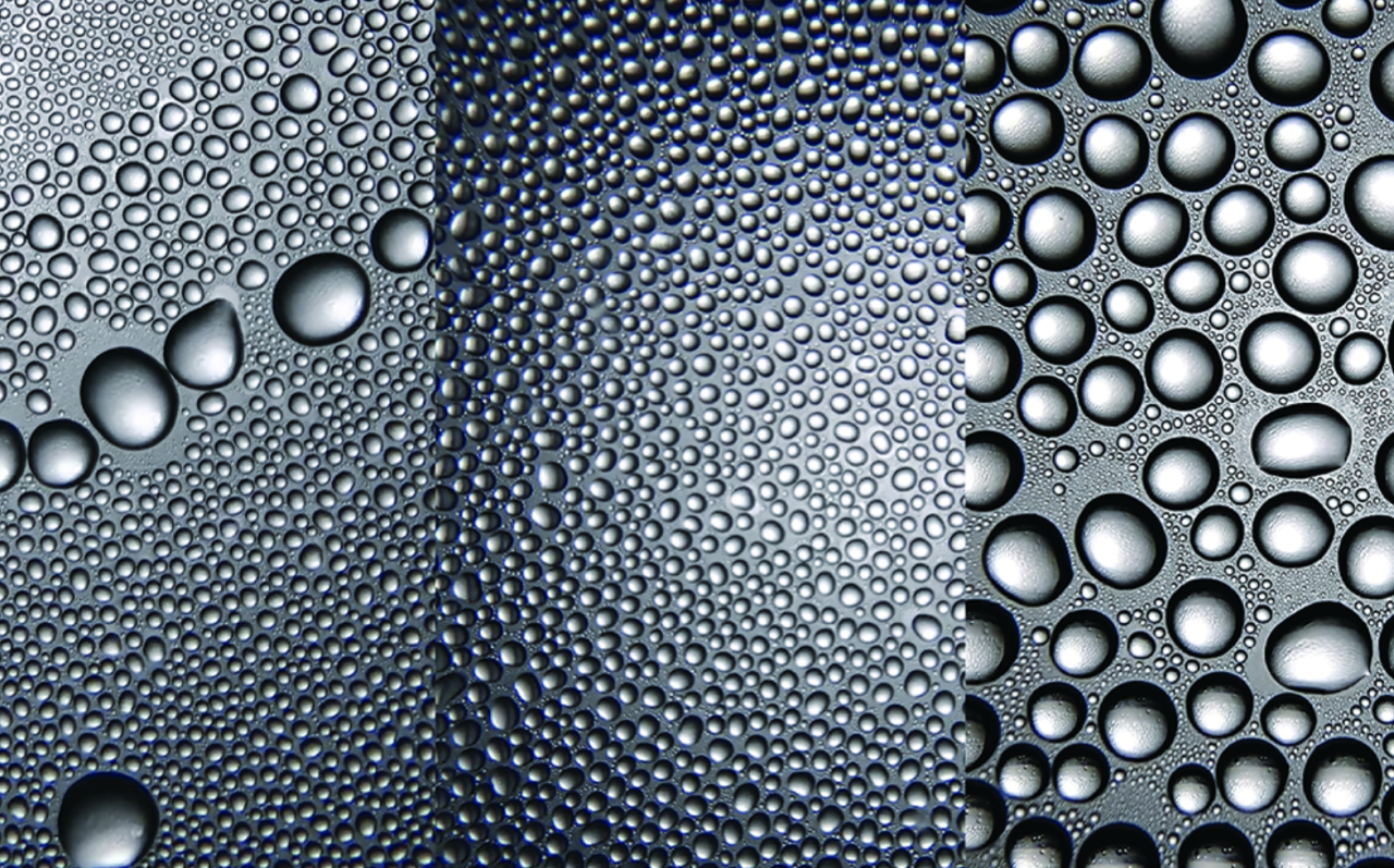 IKUEI information | 成安造形大学的写真专业