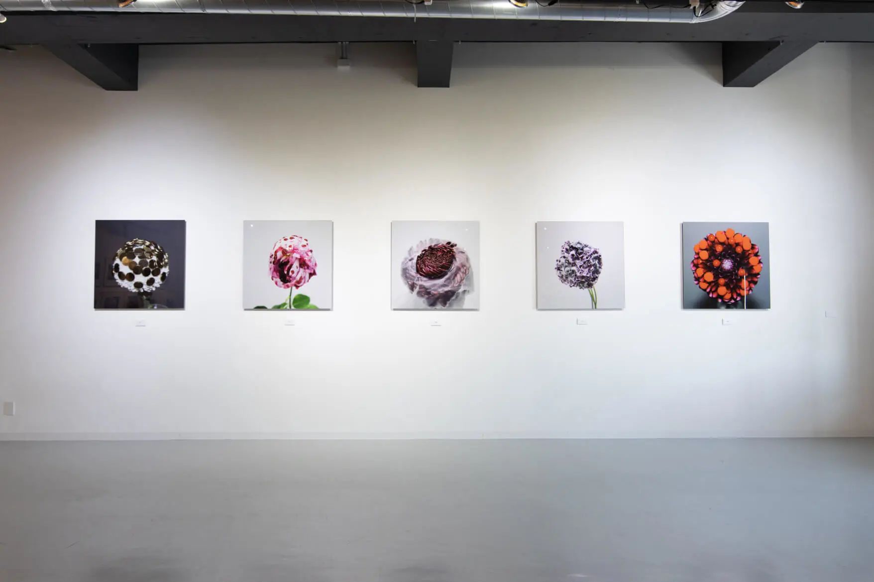 IKUEI information | 成安造形大学的写真专业