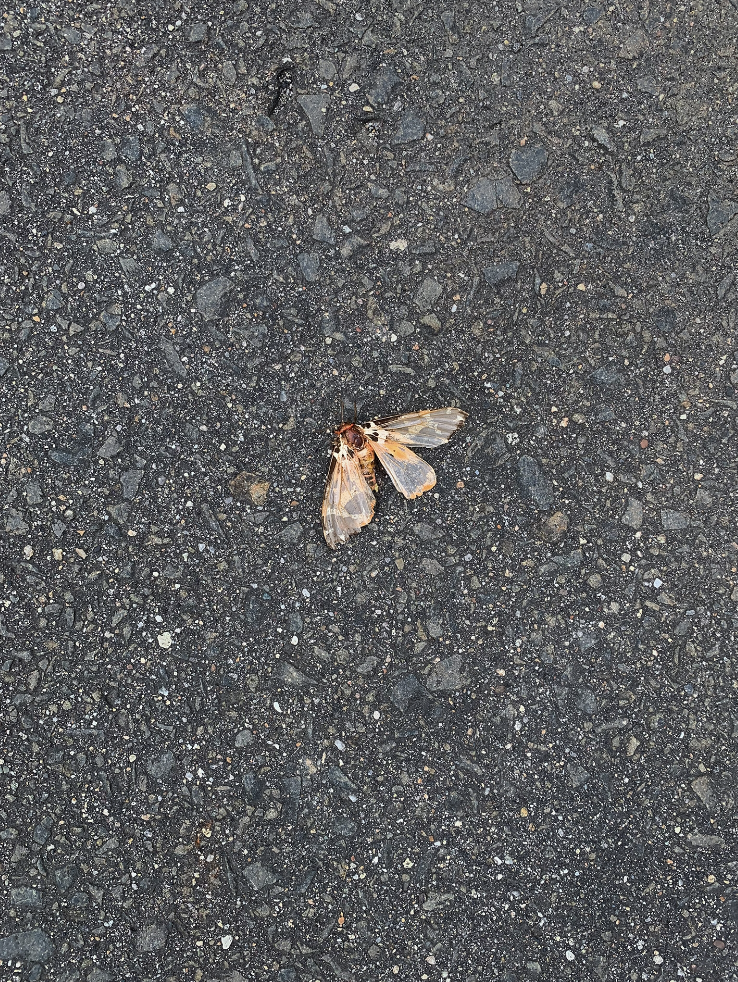 IKUEI information | 日本的包豪斯摇篮：东京造形大学