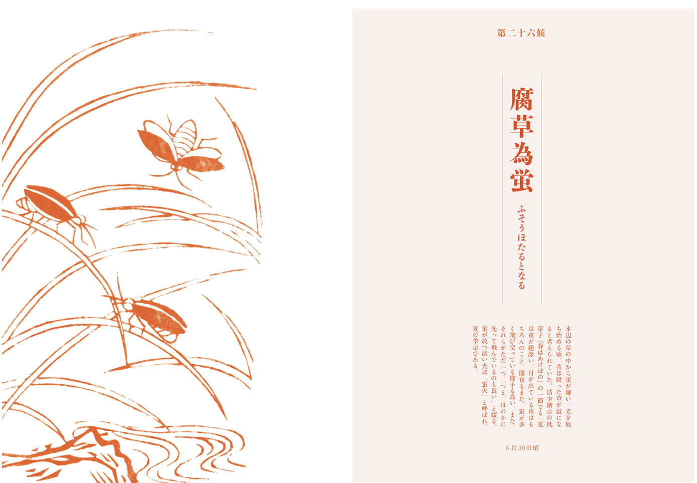 IKUEI information | 武藏野美术大学的视觉传达设计