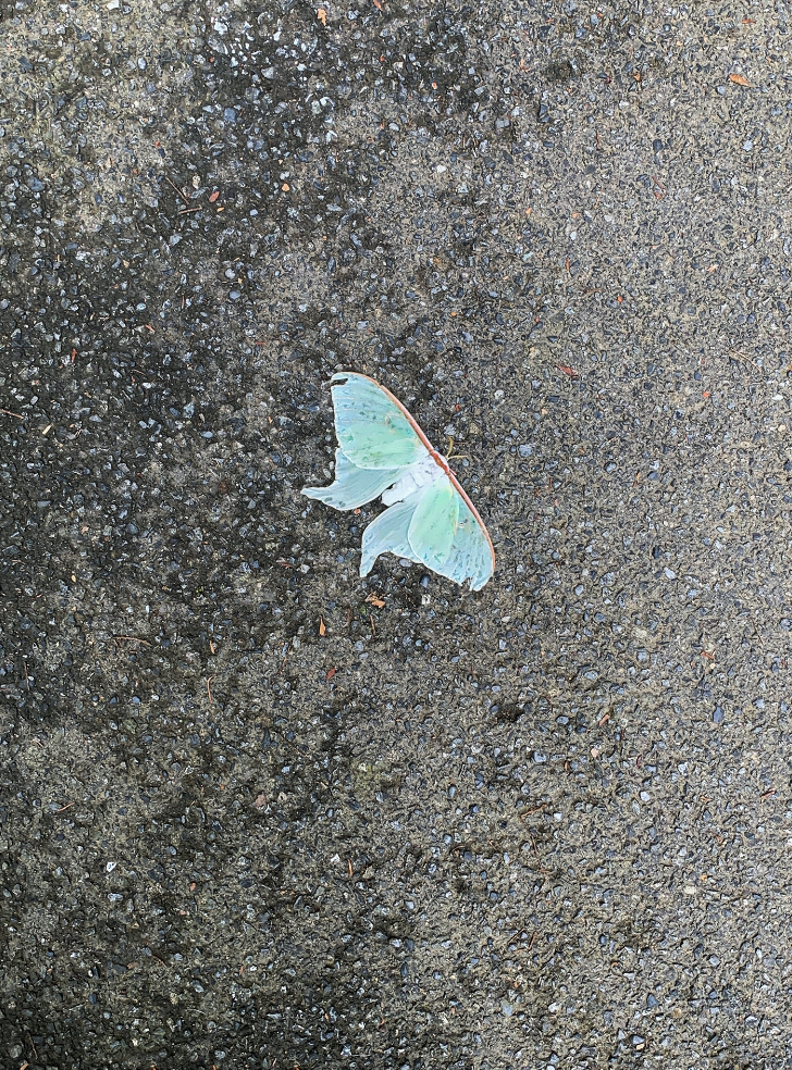 IKUEI information | 日本的包豪斯摇篮：东京造形大学