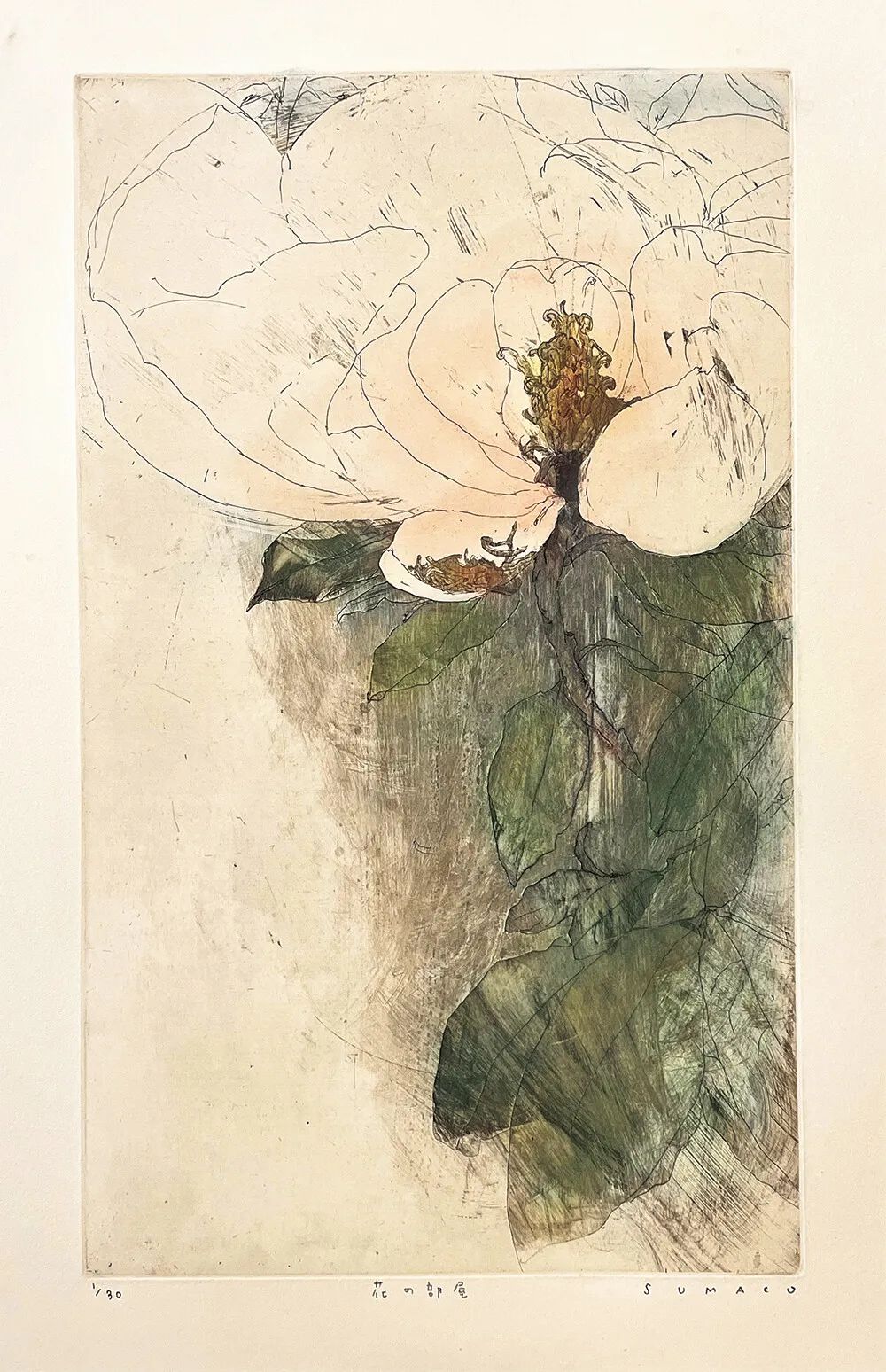 IKUEI information | 艺术之森:大阪艺术大学