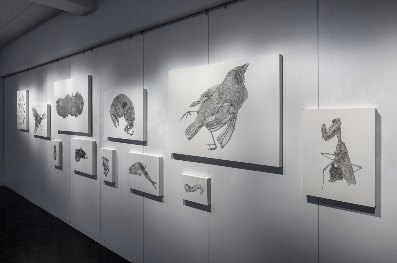 IKUEI information | 武藏野美术大学的视觉传达设计