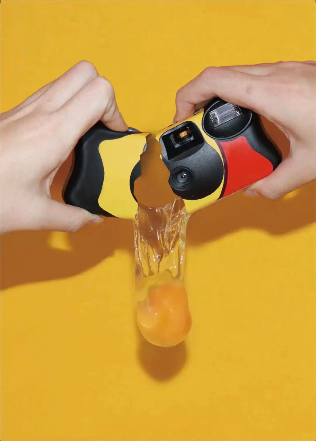 IKUEI information | 超丰富的专业选择:京都艺术大学