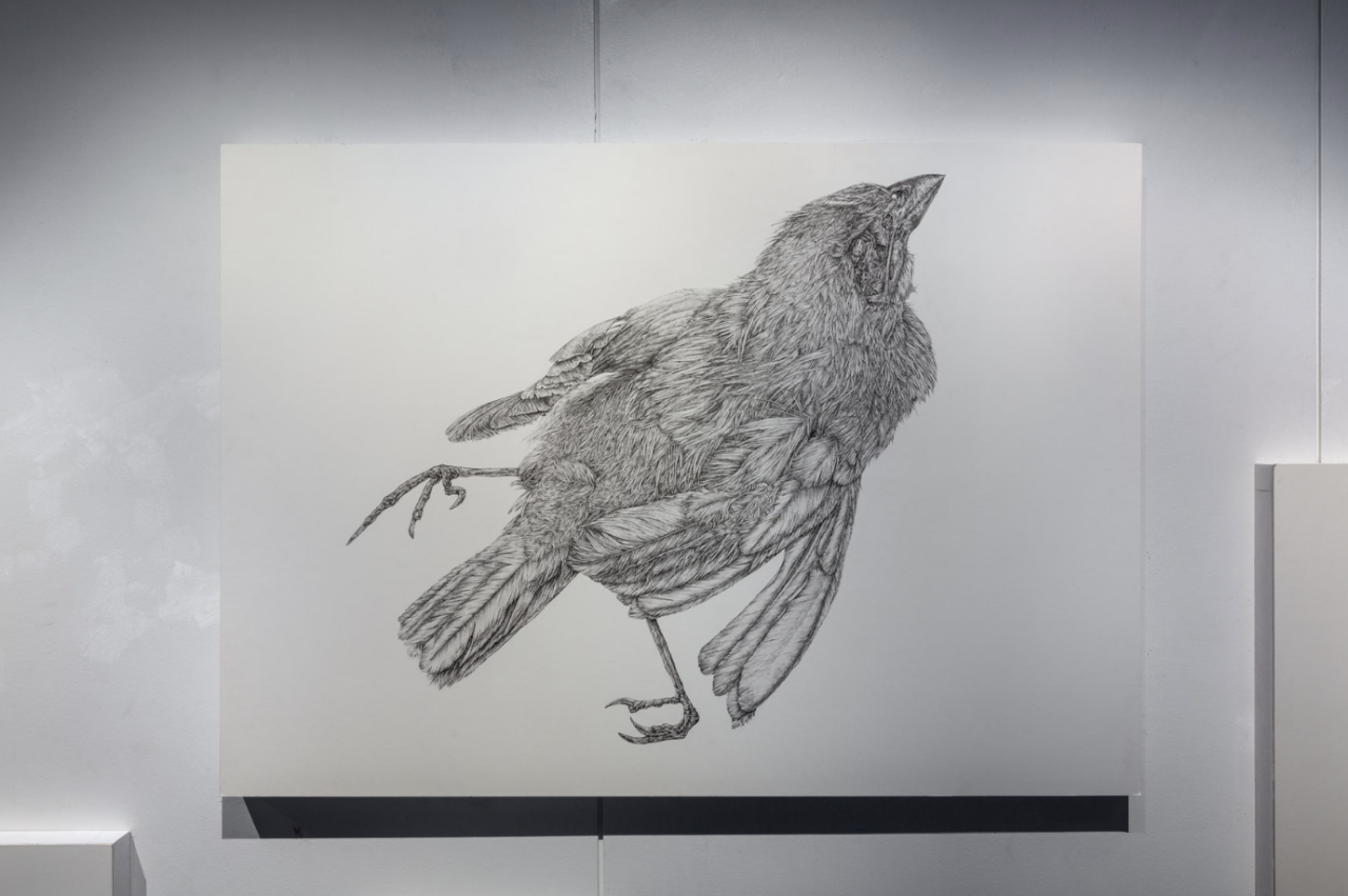 IKUEI information | 武藏野美术大学的视觉传达设计