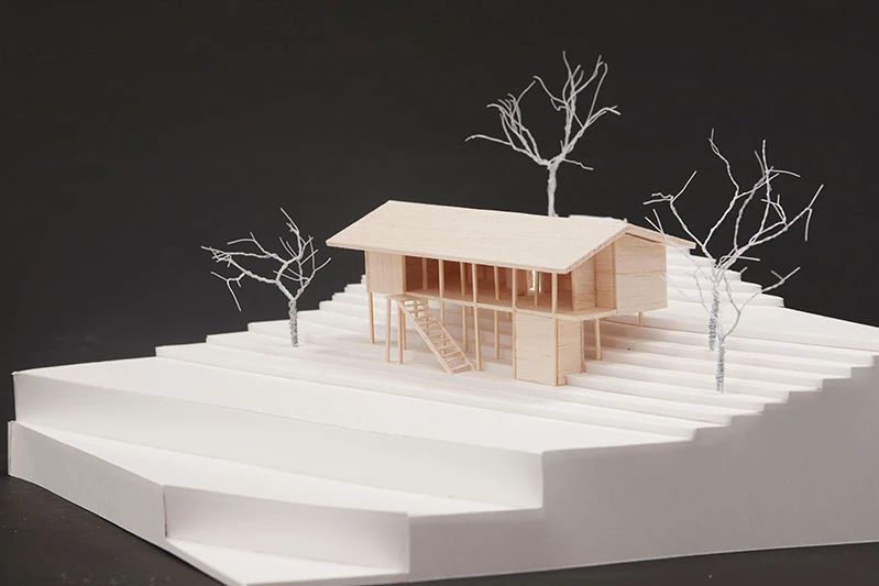 IKUEI information | 多摩美术大学的环境设计