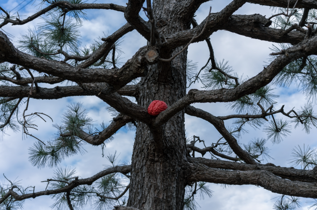 IKUEI information | 日本的包豪斯摇篮：东京造形大学