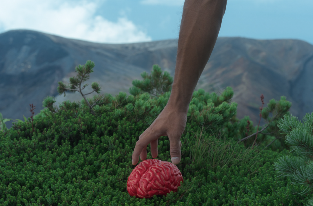 IKUEI information | 日本的包豪斯摇篮：东京造形大学