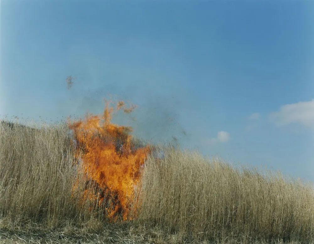 IKUEI information | 散落在关西的“遗珠”：成安造形大学