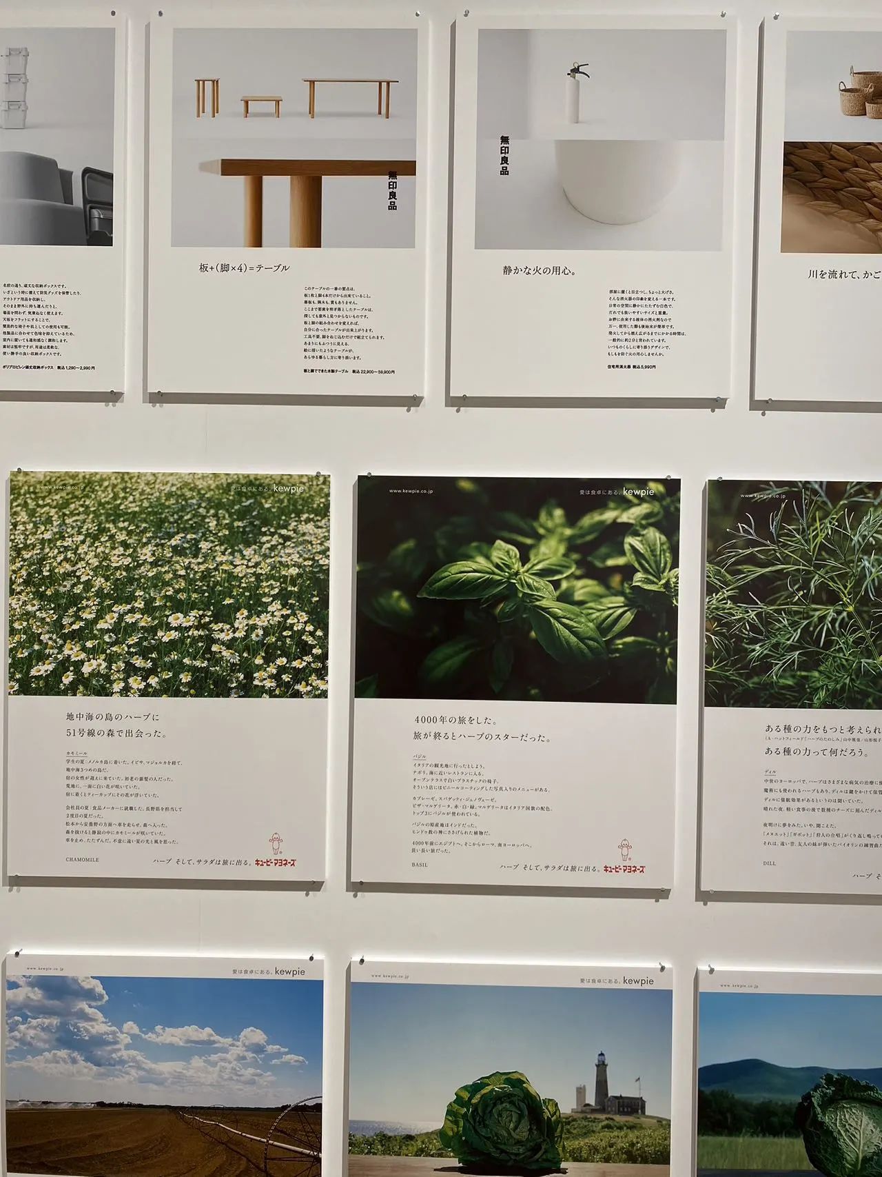 IKUEI 看展 | 直击东京ADC展！日本设计最高峰