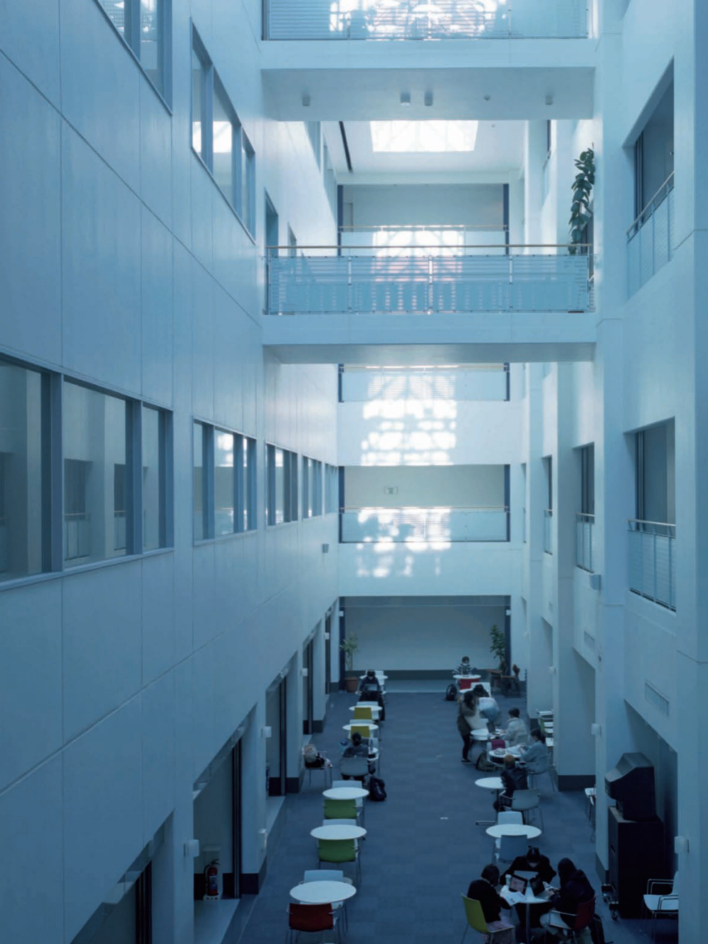 IKUEI information | 8艺1心：日本大学艺术学部