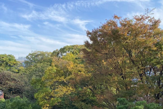 IKUEI information | 日本国公立五艺大之一:东京艺术大学