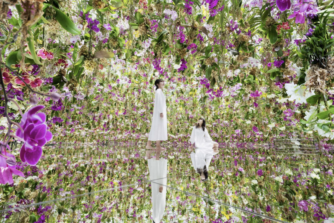 IKUEI information | 猪子寿之:数字娱乐的引路人