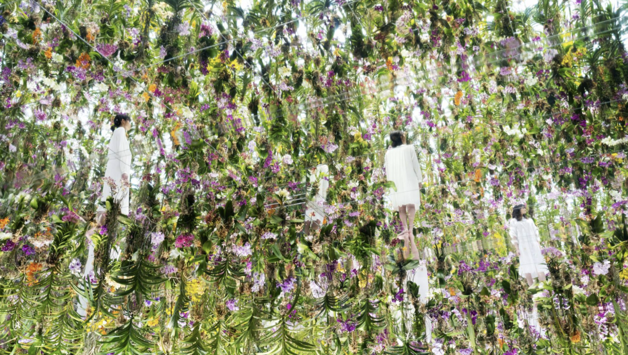 IKUEI information | 猪子寿之:数字娱乐的引路人