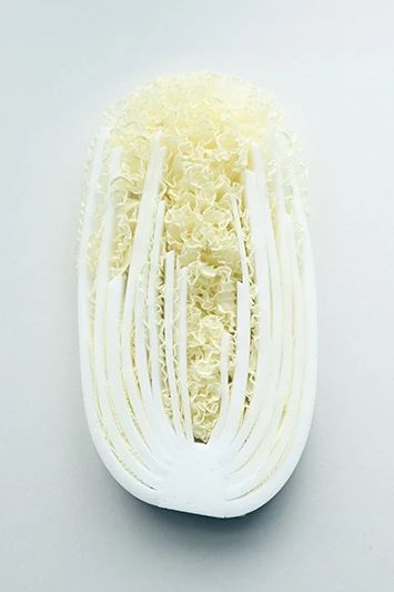 IKUEI information | 培养整合解决课题的能力，多摩美术大学统合设计学科2023年毕设