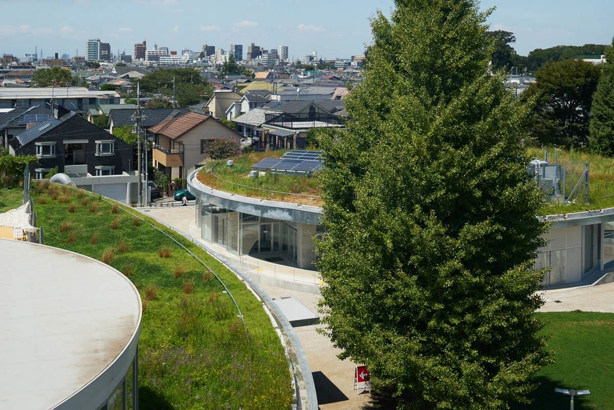 IKUEI information |青木淳:Louis Vuitton的御用建筑师