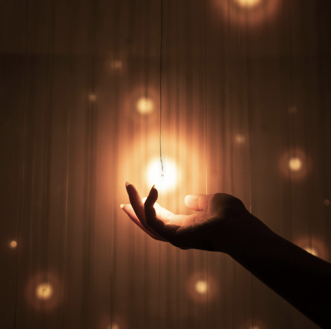 IKUEI information | 猪子寿之:数字娱乐的引路人