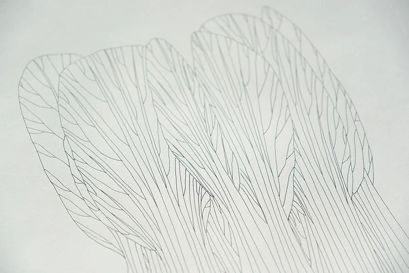 IKUEI information | 培养整合解决课题的能力，多摩美术大学统合设计学科2023年毕设