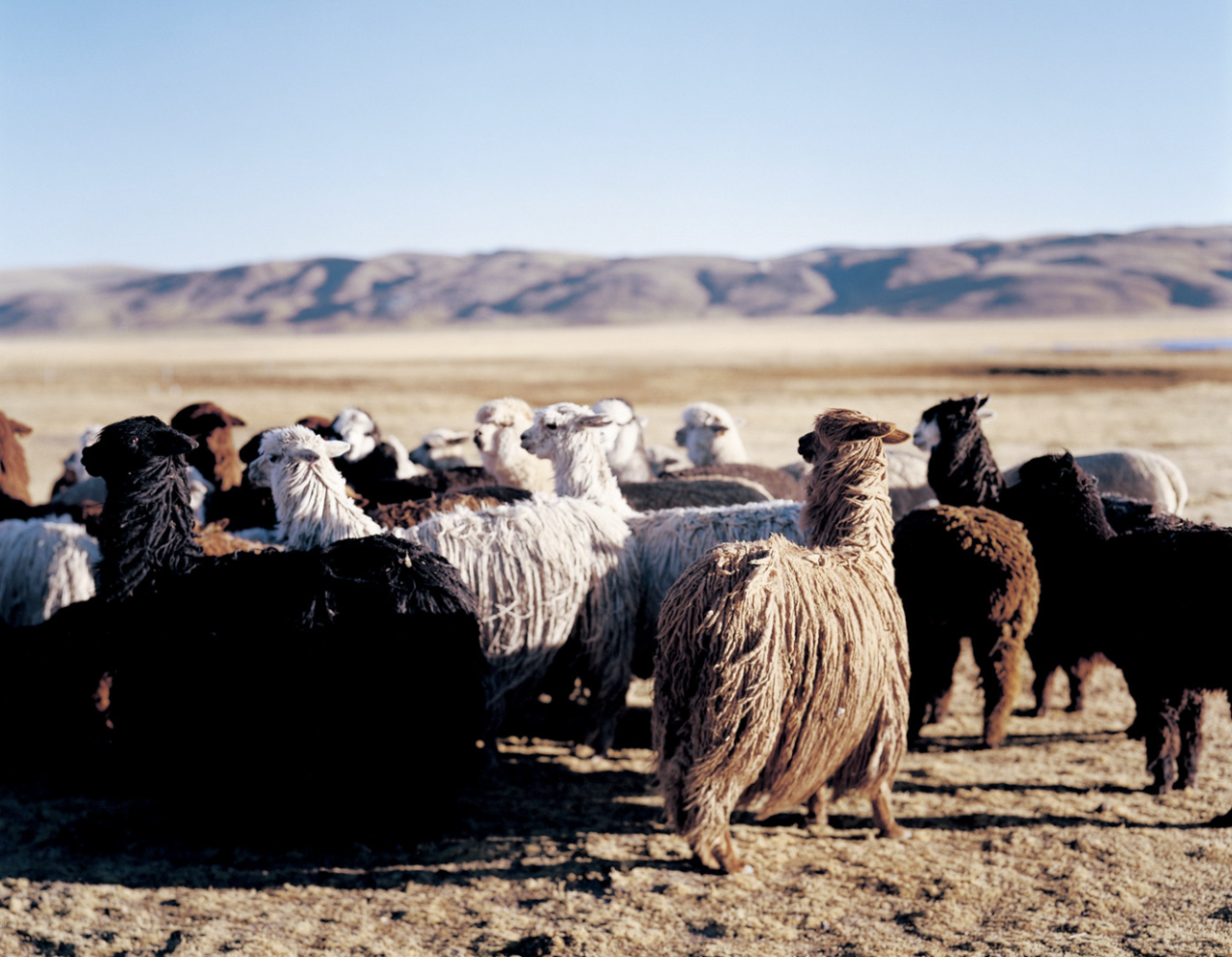 IKUEI information | 上田义彦：摄影不是捕捉物体，而是捕捉心情