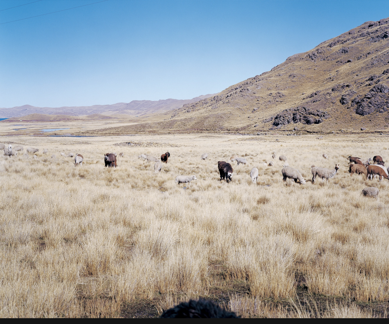 IKUEI information | 上田义彦：摄影不是捕捉物体，而是捕捉心情