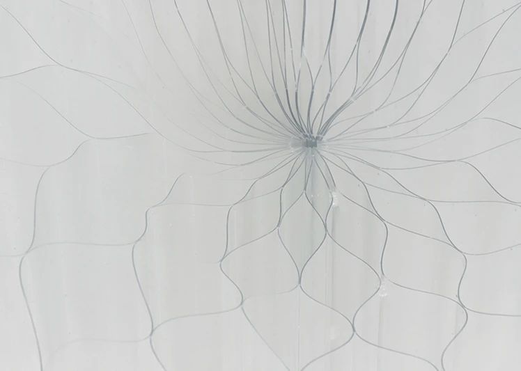 IKUEI information | 学科即将更名！多摩美术大学环境设计学科毕设