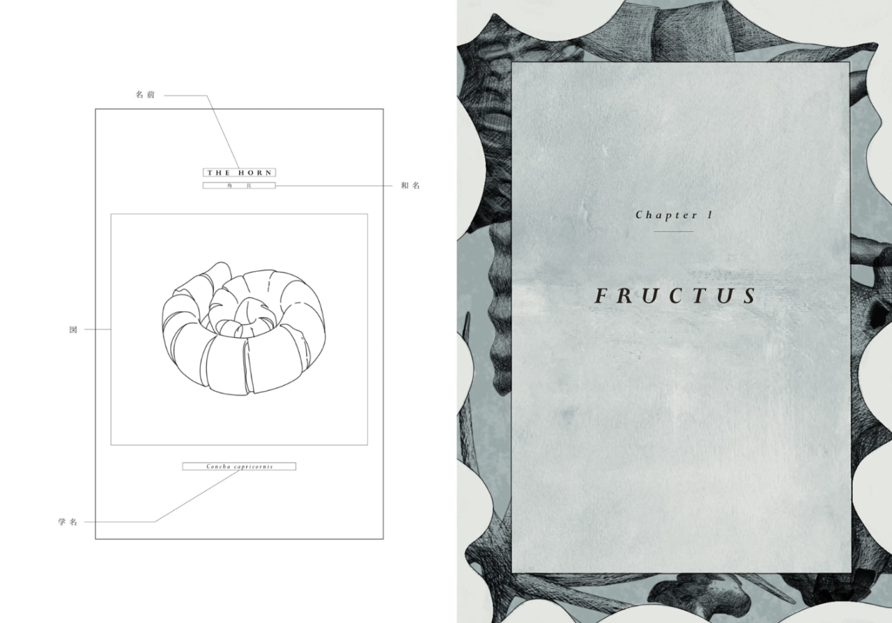 IKUEI information | 诠释如何将生活融于产品，武藏野美术大学工艺工业设计学科毕设