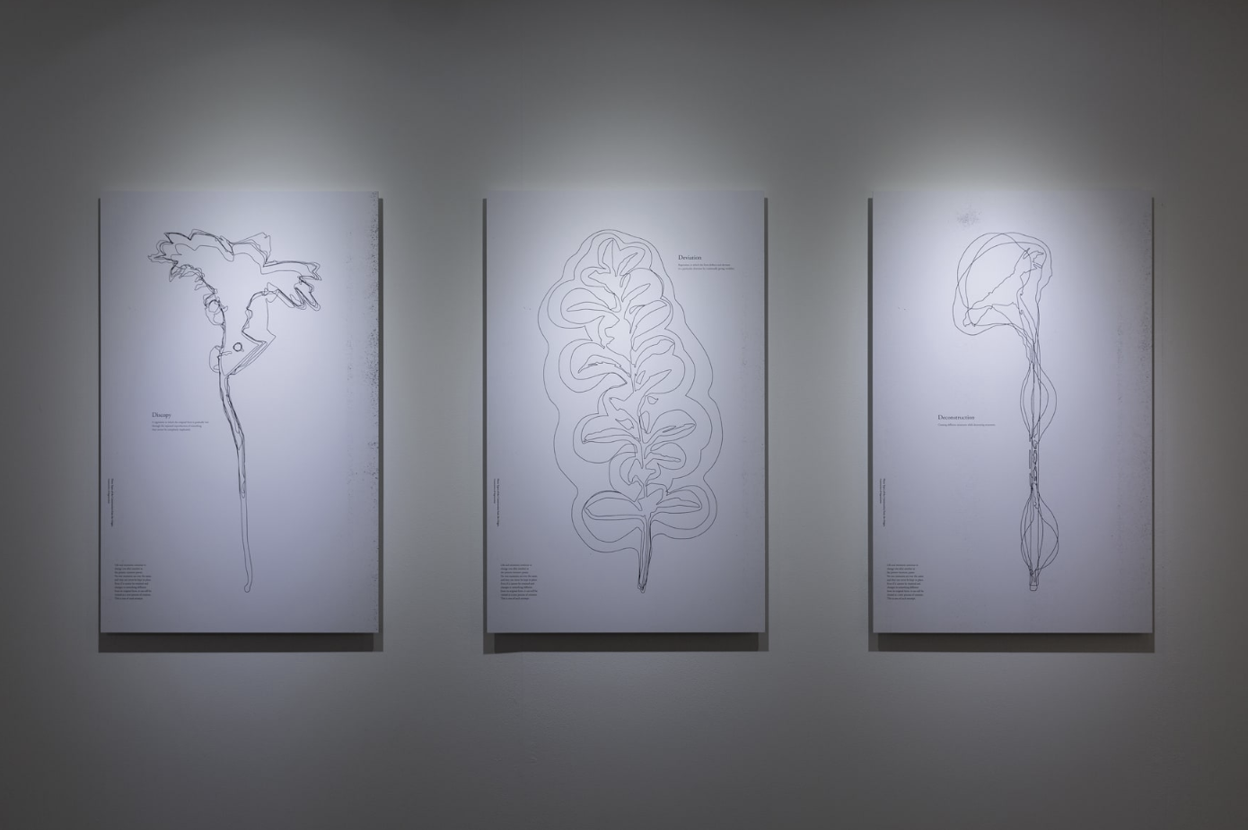 IKUEI information | 探索设计的自由，武藏野美术大学基础设计学科毕设