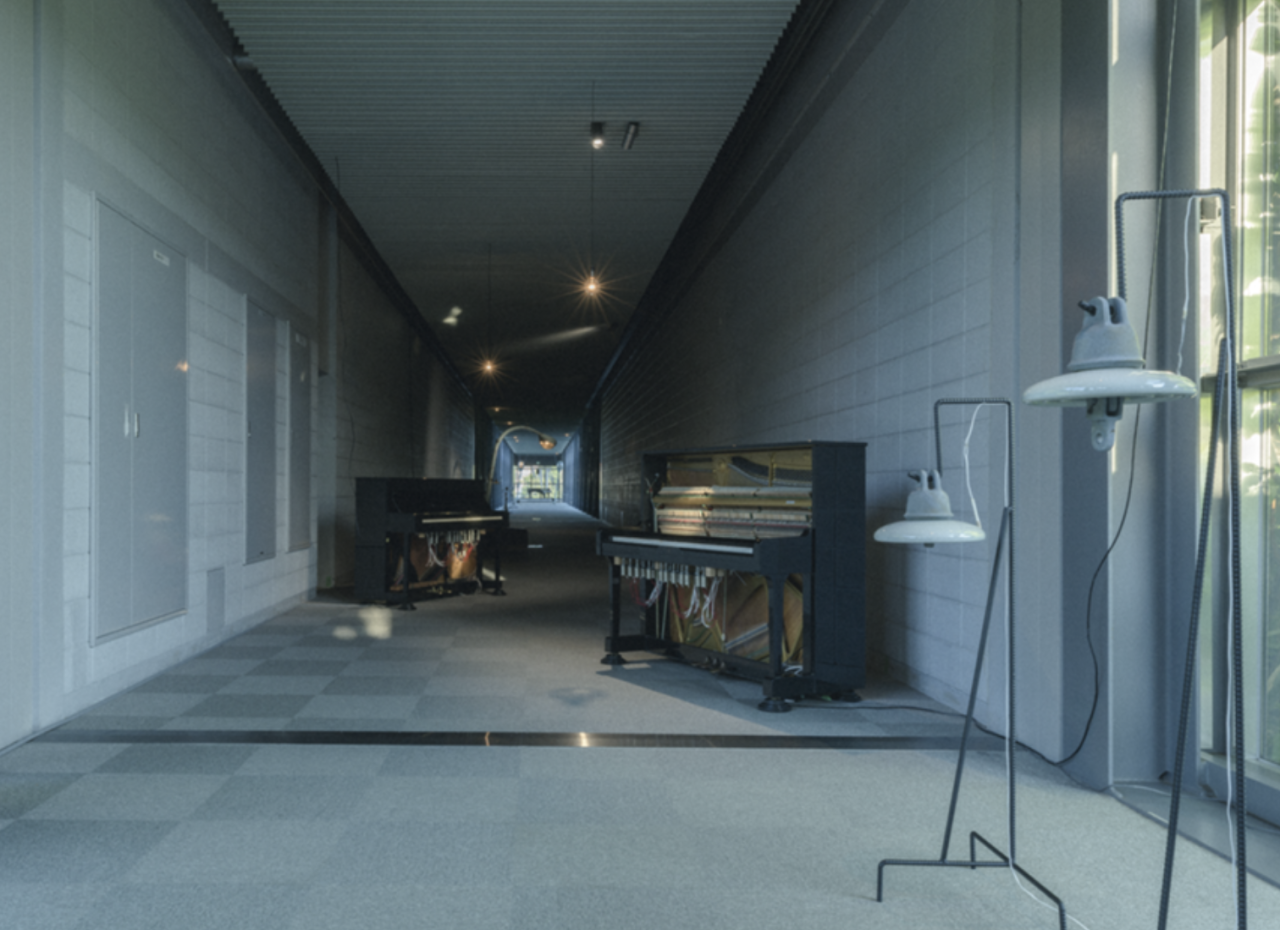 IKUEI 看展 | 冬季东京艺术展,安西水丸、坂本龙一、马蒂斯轮番登场