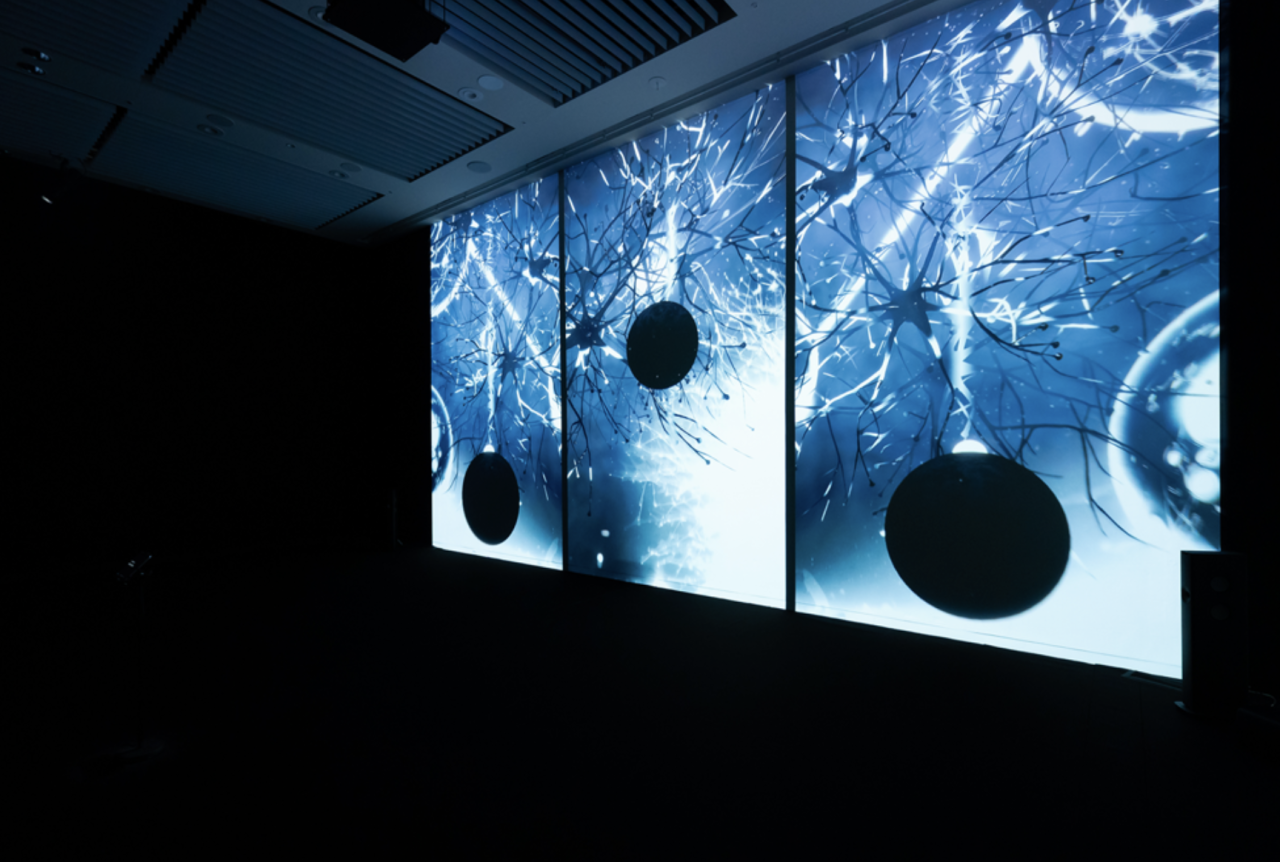 IKUEI 看展 | 冬季东京艺术展,安西水丸、坂本龙一、马蒂斯轮番登场